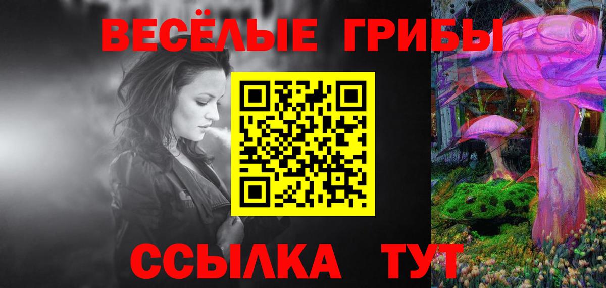 Нерюнгри  Псилоцибиновые грибы Psilocybe  Галлюциногенные грибы мицелий  Вход с VPN 
